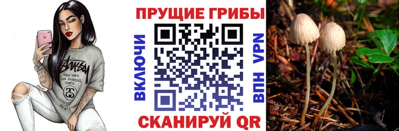 даркнет сайт  Хасавюрт  mega маркетплейс  Галлюциногенные грибы Magic Shrooms 